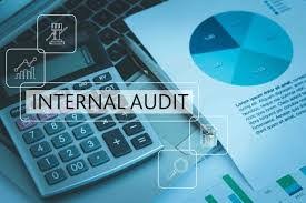 Piagam Internal Audit Di Sektor Pemerintahan Dan Sektor Swasta